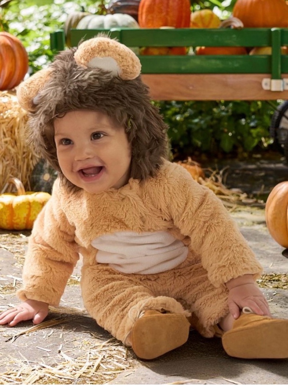 Pottery Barn Kids Baby Lion Halloween Costume Sz 6-12 months